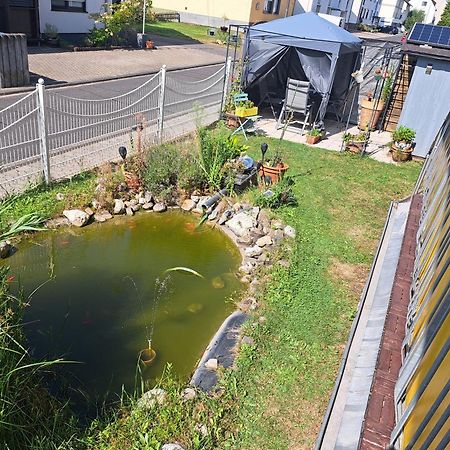 Ferienwohnung Hilgert Sankt Sebastian Dış mekan fotoğraf